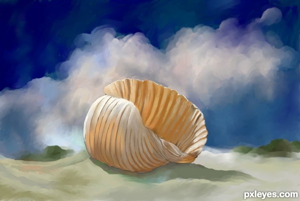 shell in the sand